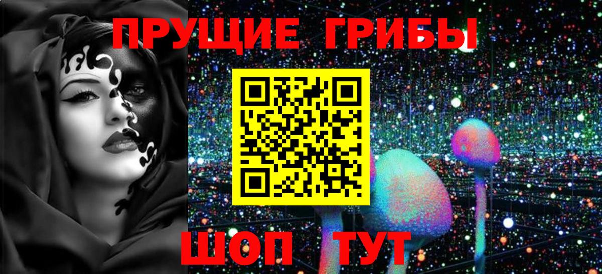 Псилоцибиновые грибы Psilocybine cubensis Клинцы