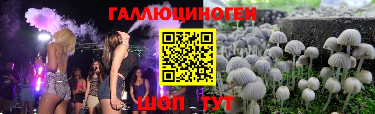 Клинцы  Псилоцибиновые грибы Cubensis  Вход с VPN  Псилоцибиновые грибы Cubensis 